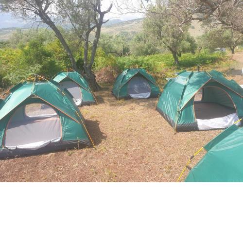 Aquariumi Jale Camping