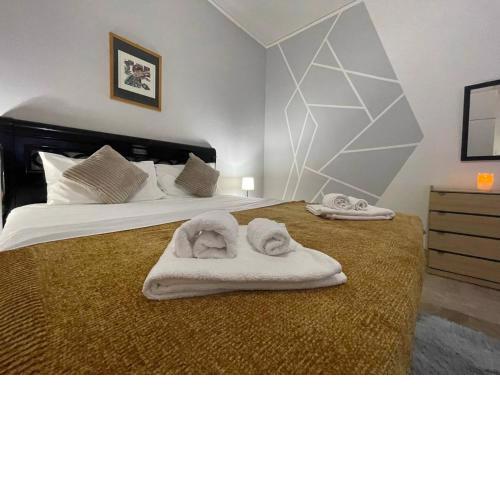 Arena Maroncelli Room2