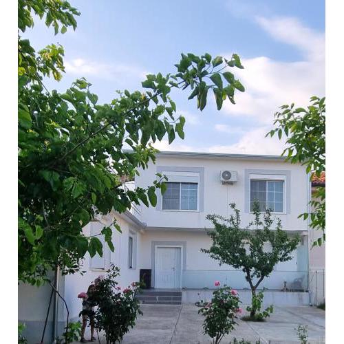 Aria Blue Shkoder