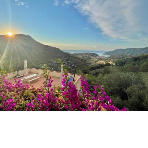 Aria di Collina - Isola d'Elba