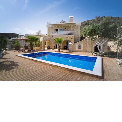 Aristidis villa-anesis family