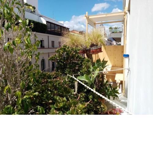 Ariston Petit Hotel