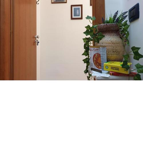 Aristotele Vacanze