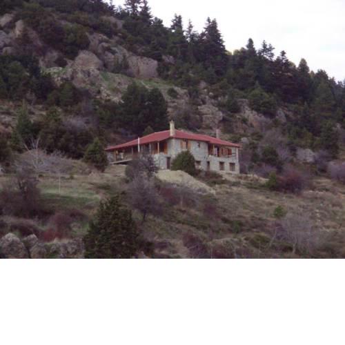Arli House
