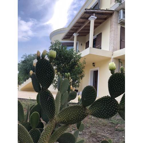 Armonia Corfu Luxury Apartment