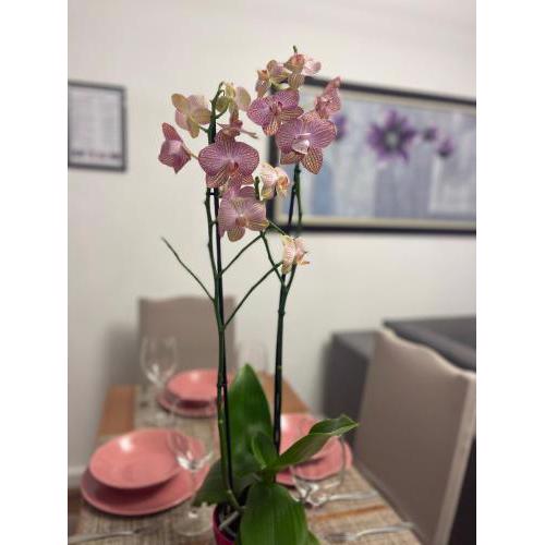 Arteg Apartments - Premium