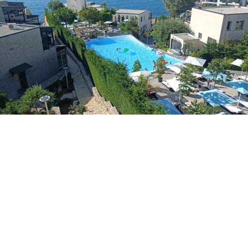 Artemis Beach House
