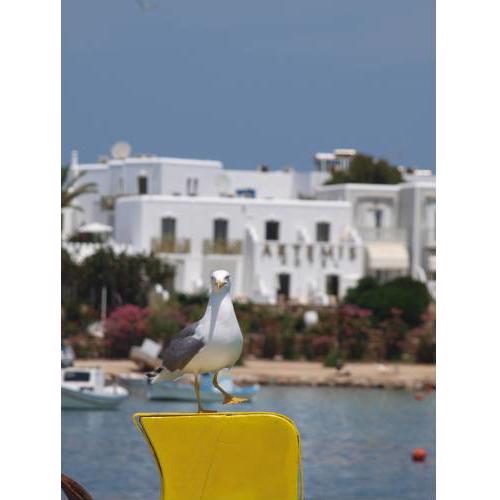 Artemis Hotel