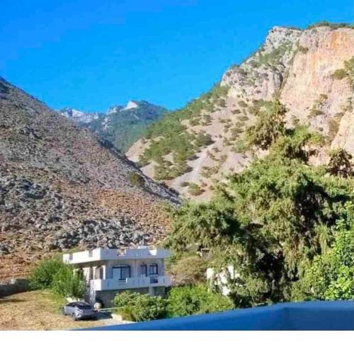 Artemisa House