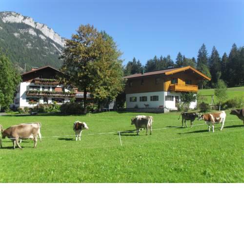 Ascherbauer