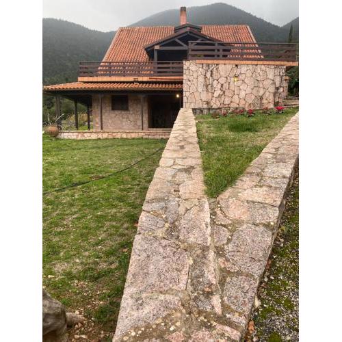 Aselinos