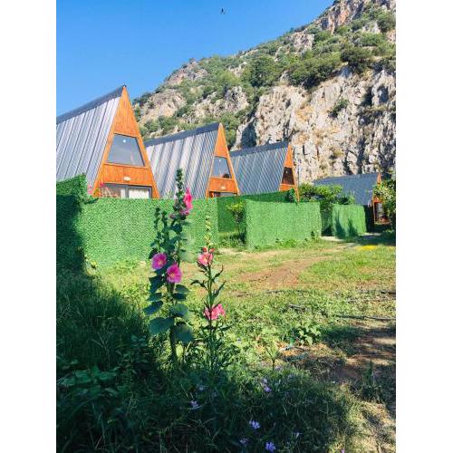 Aşı garden bungalow evleri