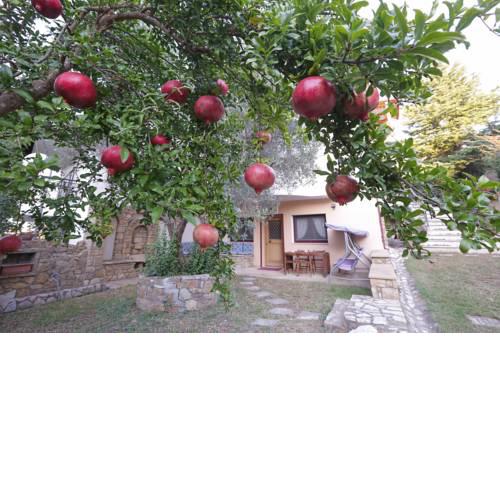 Aslanis-Souroti Garden Suite
