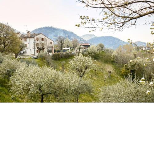 Asolo Norah's Hill Agri Rooms