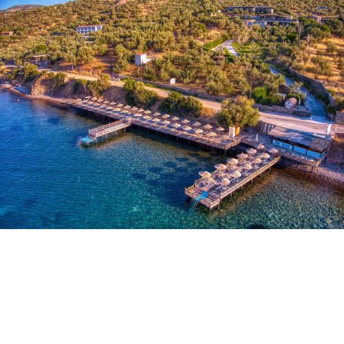 Assos Dionysos Hotel Adults Only 18