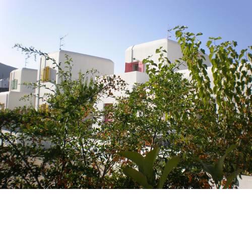 Astypalea Villas