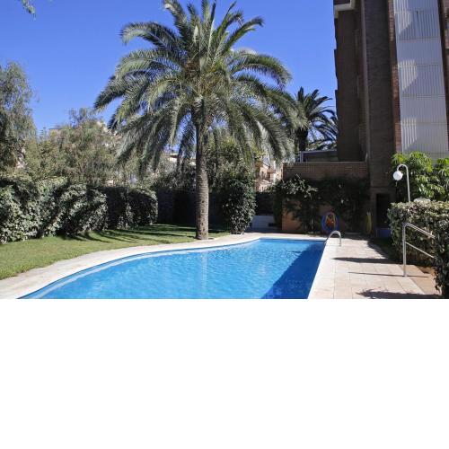 AT019 Les Palmeres