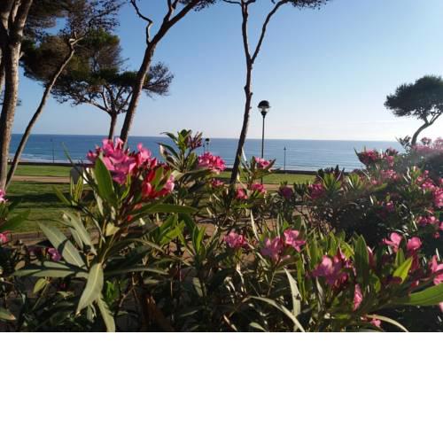 Atalaya a pie de playa