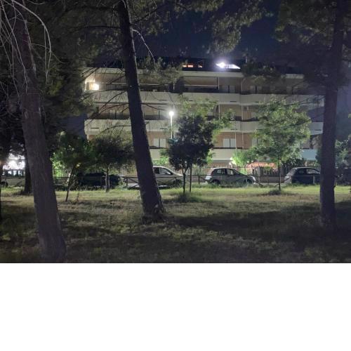 Attico incantevole fronte mare,