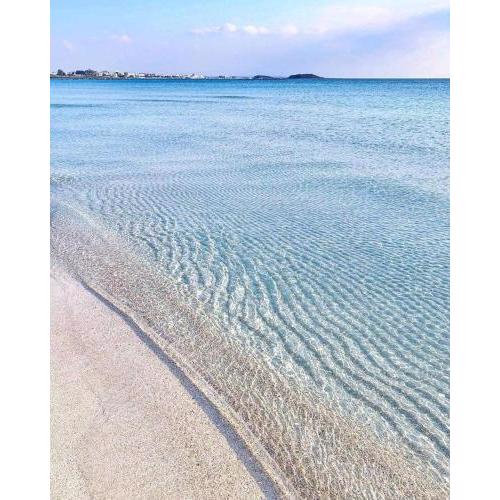Attico nel Salento