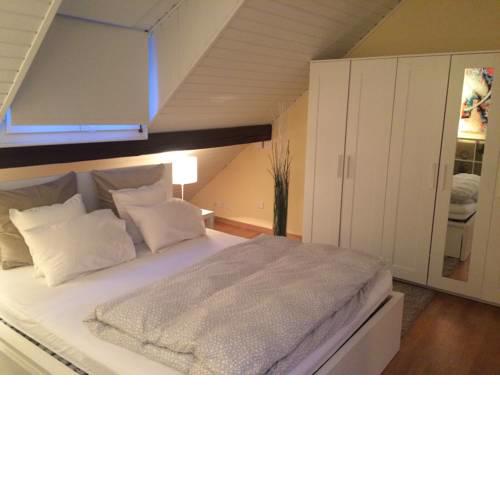 Attika-Zimmer (35 m2, modern, gross, zentral gelegen)