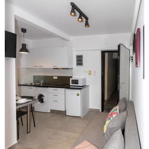 Attiki sunshine apartment with terrace. vipgreece.