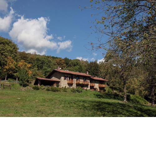 Attractive apartment in Netro with garden