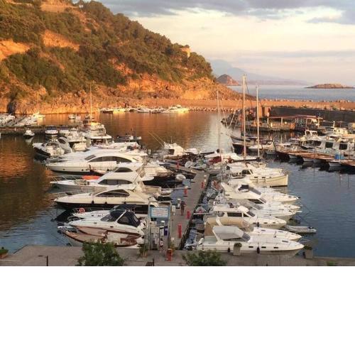 Attractive recently renovated entire Flat in Port