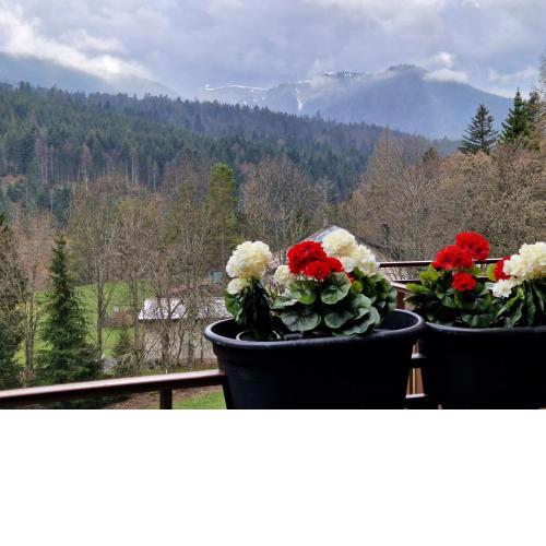 Au calme du Jura