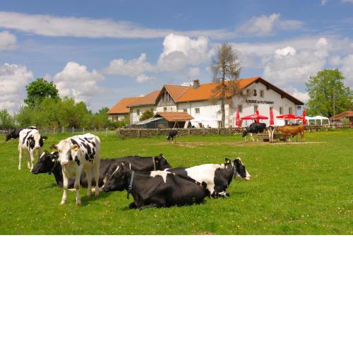 Auberge du Peu-Péquignot