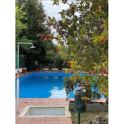 Aurelia Antica Plaza Suite