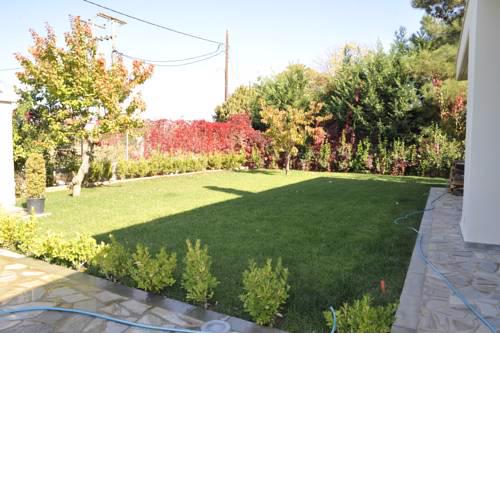 Aurelia Home