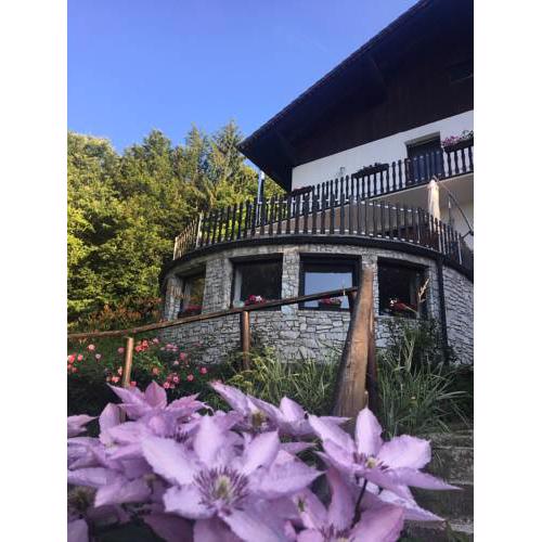 Austrian House