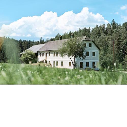 Auszeit am Kamp - Ferienhaus Rametsteiner