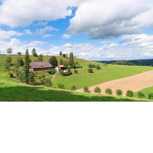 AUSZEIT auf dem BAUERNHOF Heimelige Ferienwohnung für bis zu 4 Personen im Emmental E-Bike Paradies Wandern
