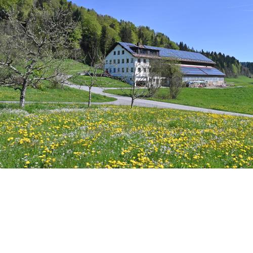 AuszeitHof Vögel