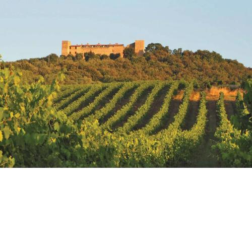 Authentic Italian feeling - Montelagello