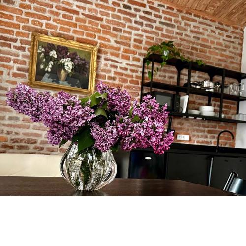 Authentic Studio with Garden