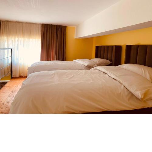 Auto Tana Guest House
