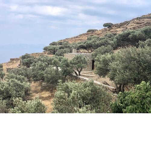 Avdos house, in the olive grove. Tinos