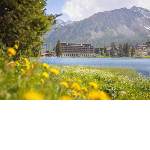Aves Arosa