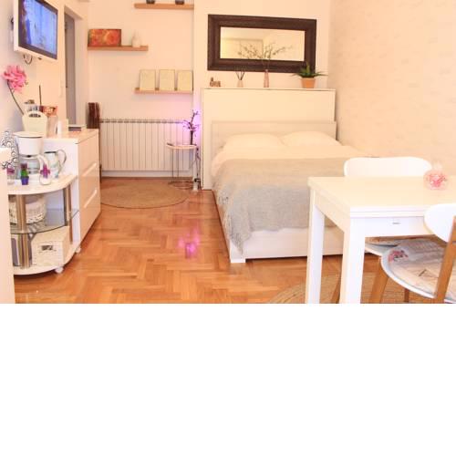 Avis Studio