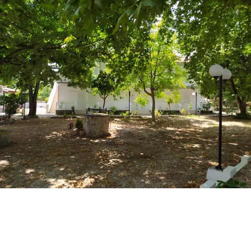 Avli Studios