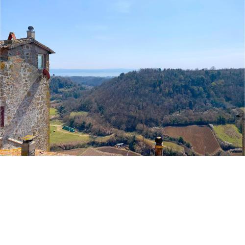 Awesome apartment in Grotte di Castro with WiFi and 2 Bedrooms