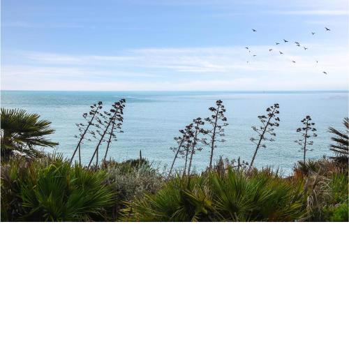 Awesome apartment in Pisciotta with 1 Bedrooms