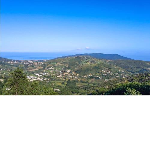 Awesome home in Laureana Cilento with Jacuzzi and 3 Bedrooms