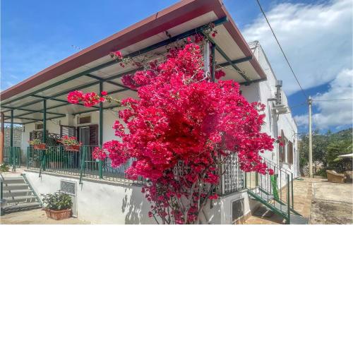 Awesome Home In Monte Santangelo With Wifi And 2 Bedrooms