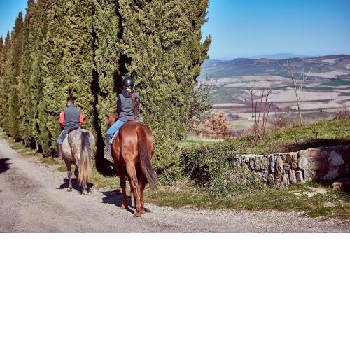 Az.Agr. Il Cavalleggero