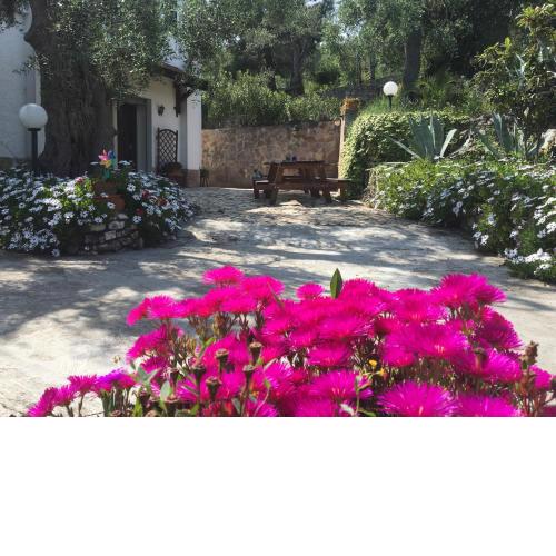 Azienda Agricola B&B Macchiaria