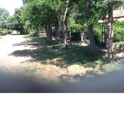 Azienda biologica Femminella